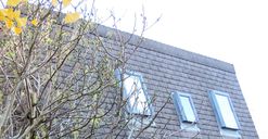 dachfl-chenfenster-kopie.jpg